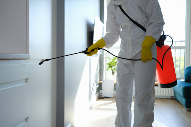 Best Commercial Mold Remediation in Lucasville, OH