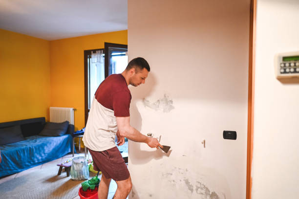 Reliable Lucasville, OH Mold Remediation Solutions